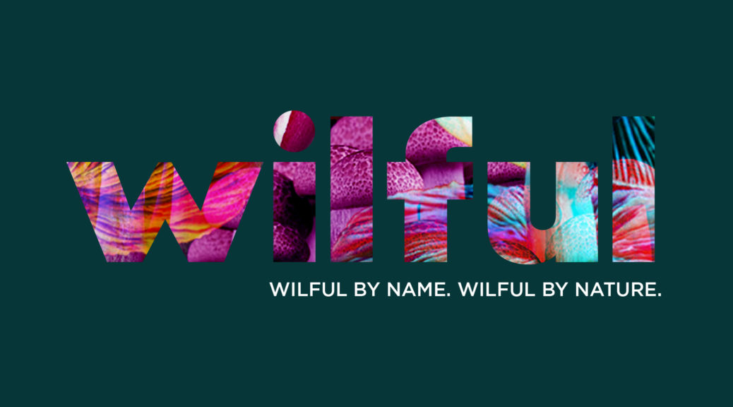 Wilful logo